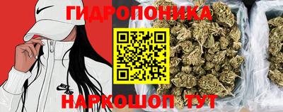 МДПВ Янаул