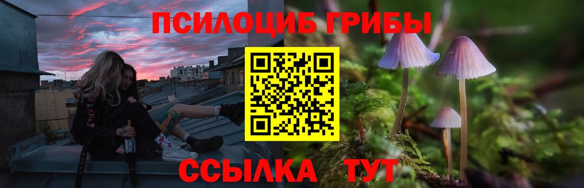 Дмитров  Псилоцибиновые грибы мухоморы  Псилоцибиновые грибы ЛСД  Вход с VPN 
